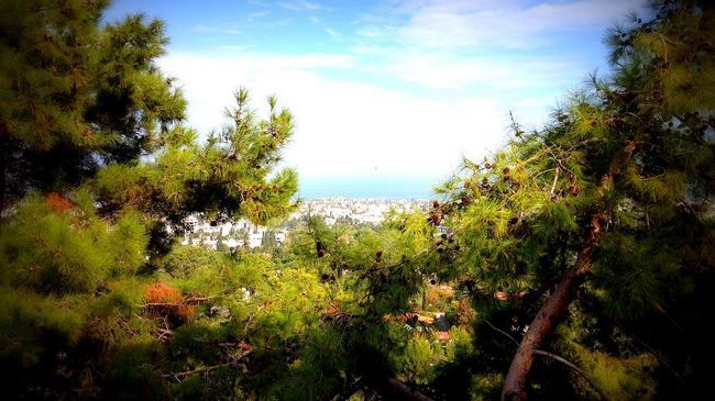 Onar Village Kyrenia  Exteriér fotografie