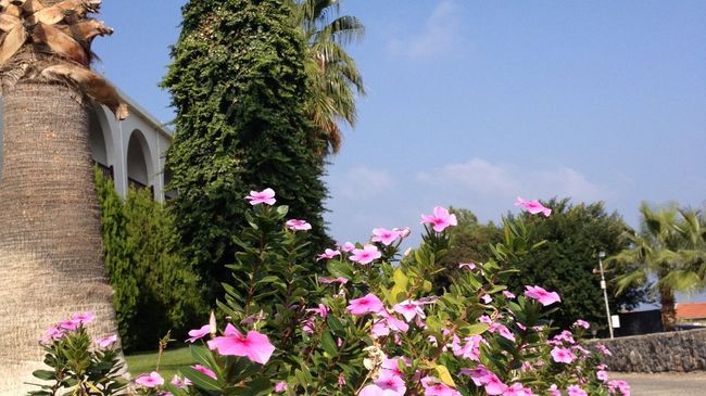 Onar Village Kyrenia  Vybavení fotografie